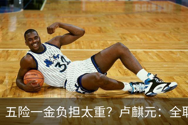 五险一金负担太重？卢麒元：全取消，征房产直接税，经济才会正常